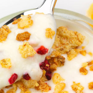 Classic-Style Yogurt Recipe – Brod & Taylor Australia