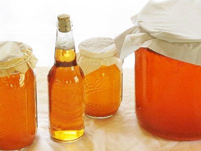 How to Grow a Kombucha Scoby — in just 10-12 Days – Brod & Taylor Australia