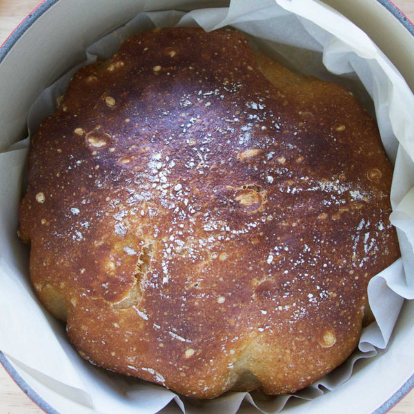 No-Knead Bread Recipe – Brod & Taylor Australia