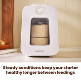 Steady conditions keep your starter healthy longer between feedings.