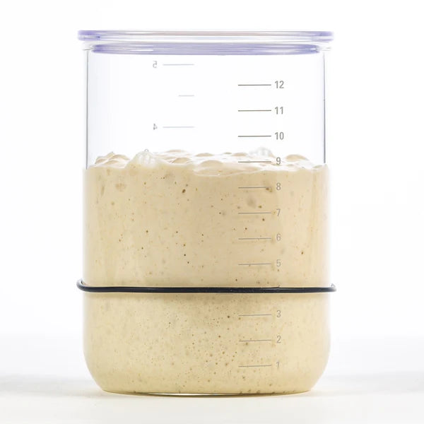 Sourdough Starter Jar - Available on preorder